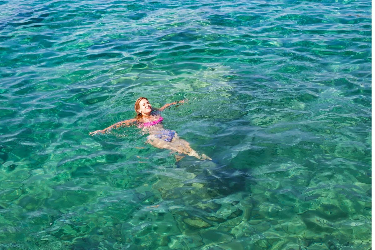 excursions hotel mousai puerto vallarta