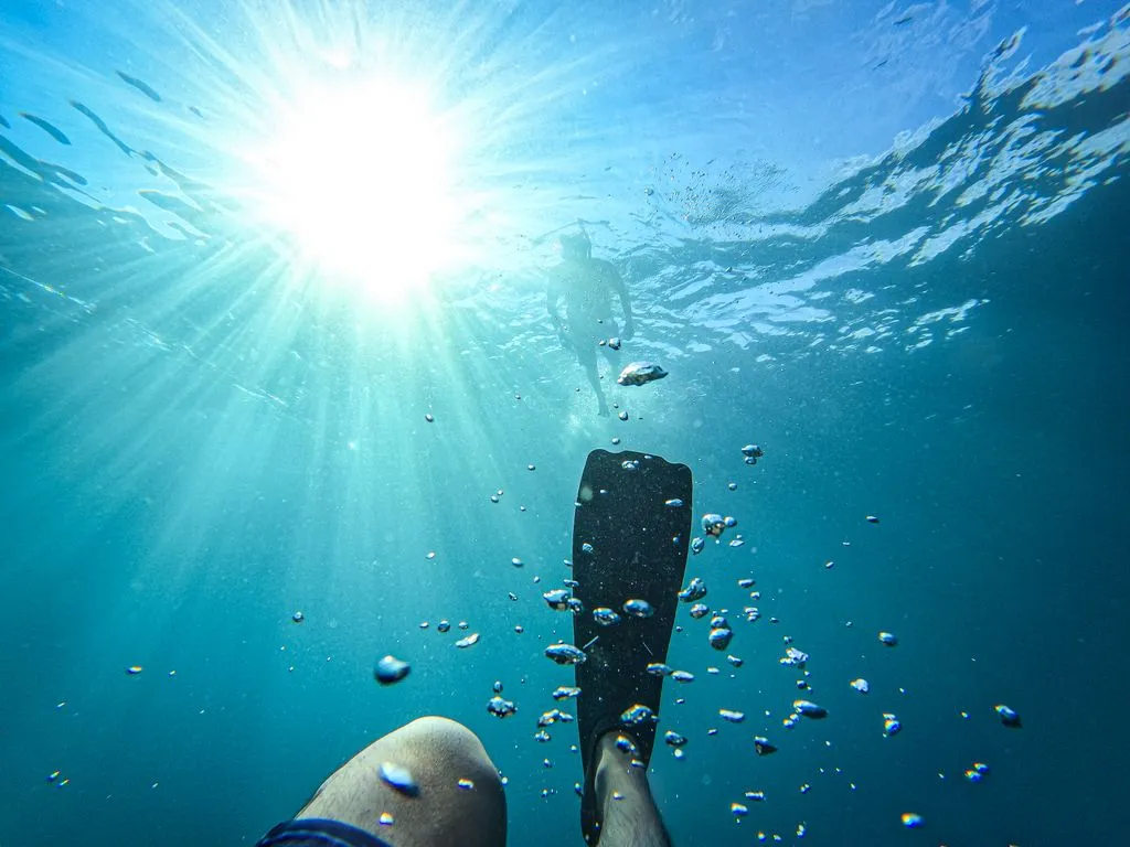 excursions hotel mousai puerto vallarta