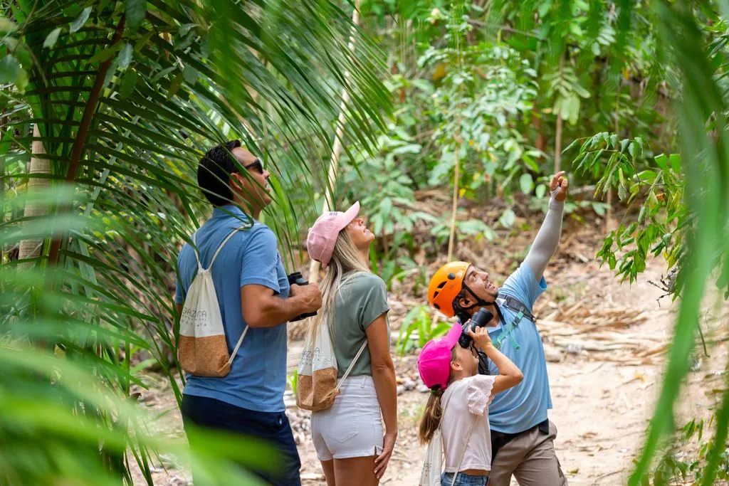 The Best Excursions Near Hotel Mousai Puerto Vallarta